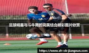 解决