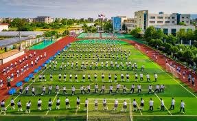 麻将策略如何持续优化（如何不断提升麻将战术）